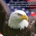 Eagle 2nd Amendment