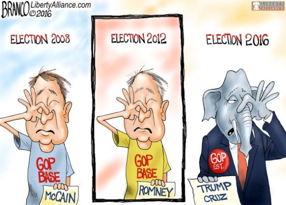 Who Nose Best - A.F. Branco