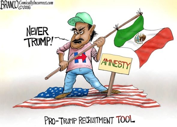 What a Tool - A.F. Branco