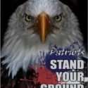 Eagle, Patriot Stand Your Ground