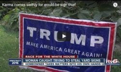 Vandals try to steal Trump sign
