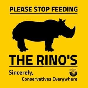 stopfeeding_rinos