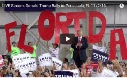 donald-trump-rally-pensacola-florida-11-02-16