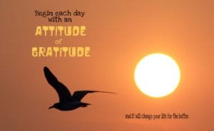 attitude-of-gratitude1-1024x628
