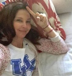 Ashley Judd political basketball