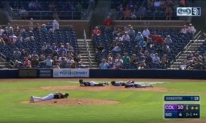 Bee swarm at MLB pre-season game