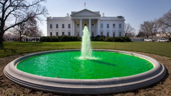 North Lawn fountain green for Saint Patrick's day