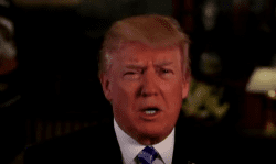 President Trump weekly address 4-14-17