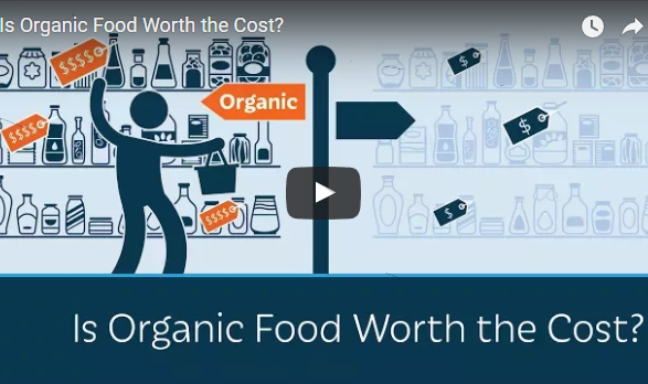 Is organic food worth the cost