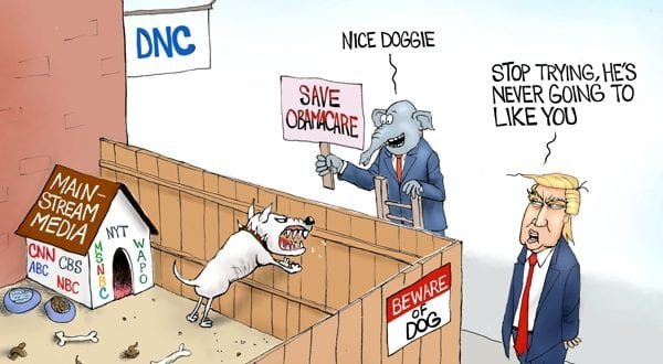 Image result for branco cartoons new political party