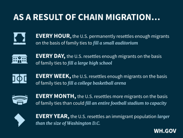 Chain migration infographic