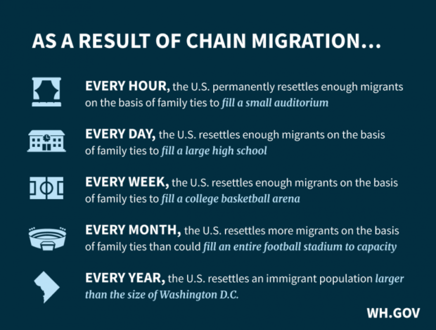 Chain migration infographic
