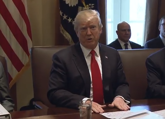 Donald Trump cabinet meeting 1-10-18