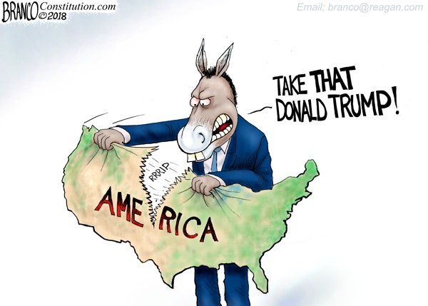 Image result for political division cartoon