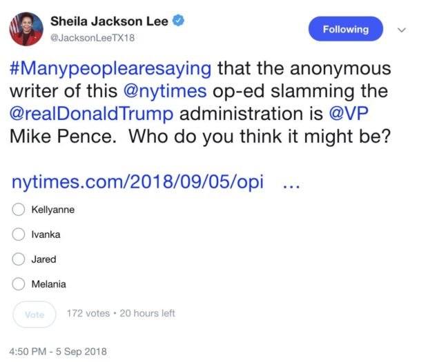 Shiela Jackons Lee message