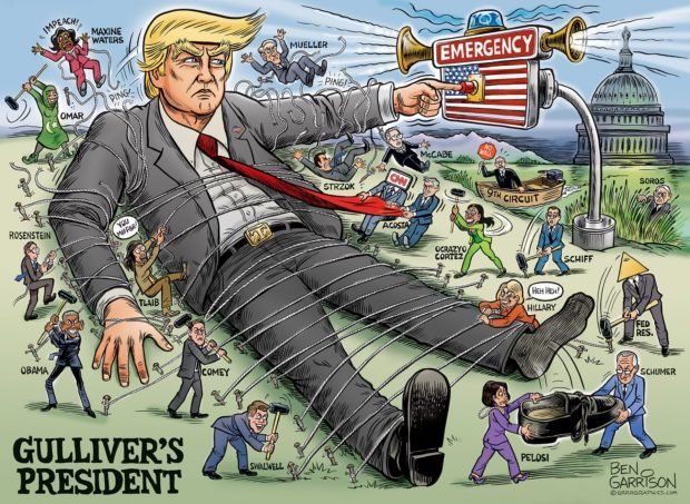 Image result for trump emergency cartoon