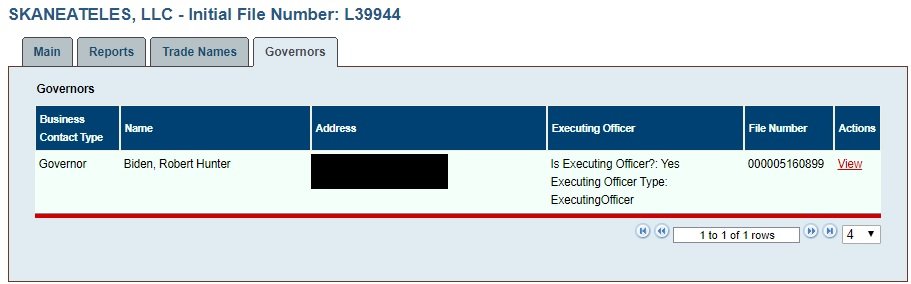 Hunter Biden listed as the sole director of Skaneateles, LLC, on Nov. 1. Address redacted. (D.C. Department of Consumer and Regulatory Affairs / Screenshot)