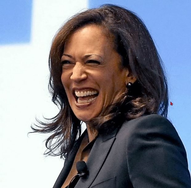 ‘Welcome To The Wrong Border’: New Hampshire GOP Rips Kamala Harris As She Visits The State
