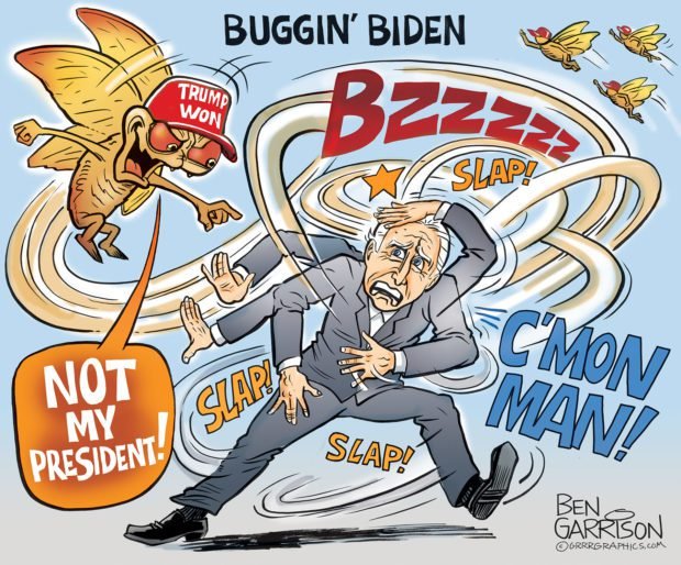 Bugging Biden – Ben Garrison Cartoon