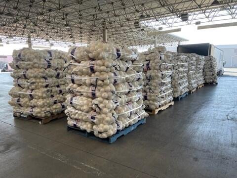 U.S. Customs and Border Protection officers at the Otay Mesa commercial facility discovered almost 1,200 small packages of methamphetamine hidden within a shipment of onions on Sunday.