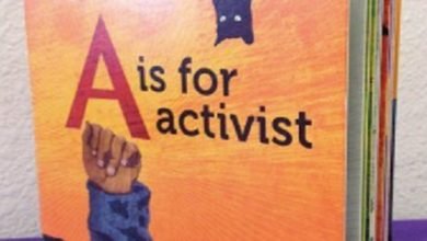 Systemic Issue: Activism in education
