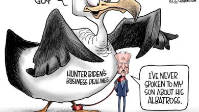 Joe Biden Hunter Biden corruption