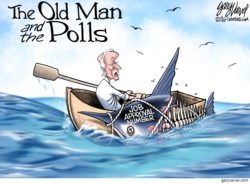 Biden poll