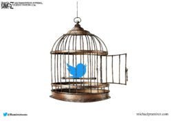 twitter freedom of speech