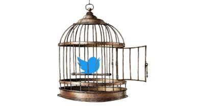 twitter freedom of speech