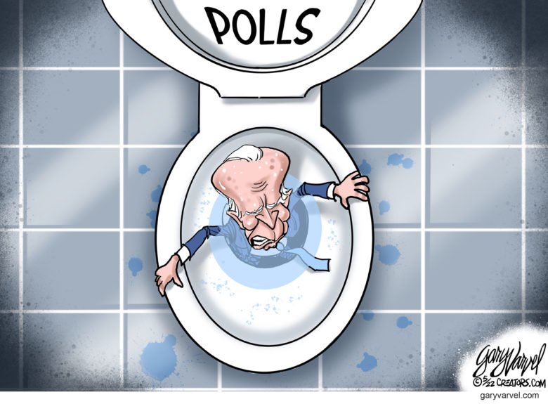 Joe Biden polls