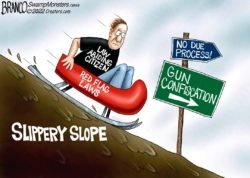 gun control slippery slope