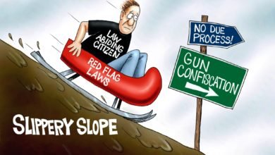 gun control slippery slope