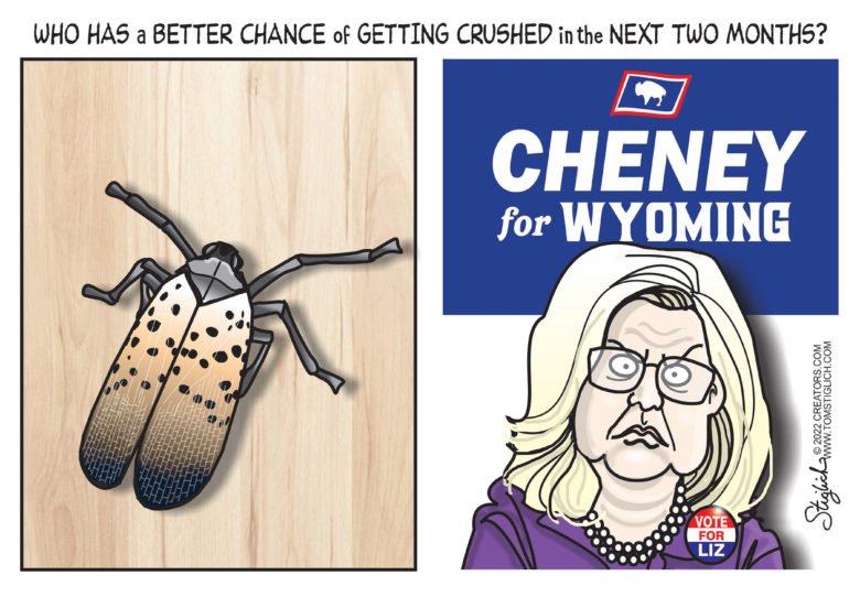 Liz Cheney Wyoming RINO