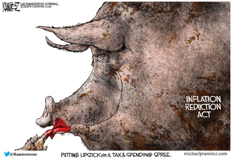 Inflation Reduction Act Pig