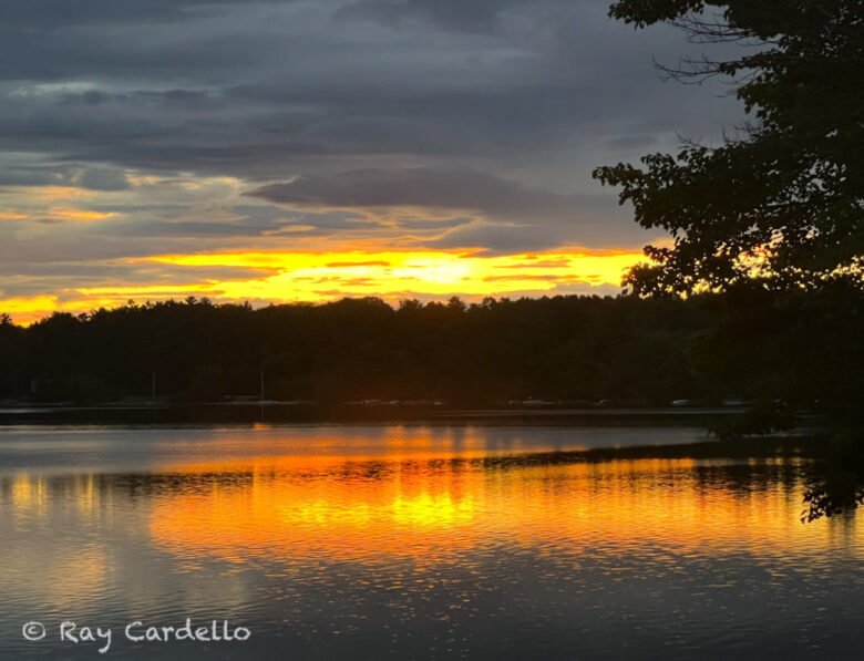 Sunday Spotlight: Hope and Prayer