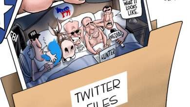 Democrats collusion social media bias