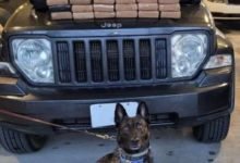 A Border Patrol K9 sniffed out 73 lbs. of cocaine on March 15, 2023 near Murrieta, CA.