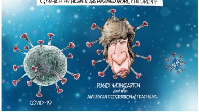 Randi Weingarten virus disease