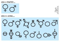 Transgender gender ideology