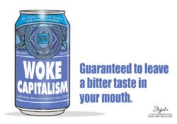 Bud light beer woke capitalism