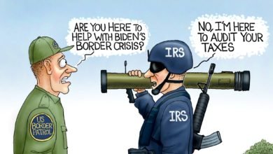 IRS border crisis audit