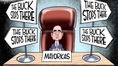 Mayorkas illegal immigration border crisis