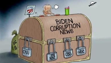 Biden family corruption media news