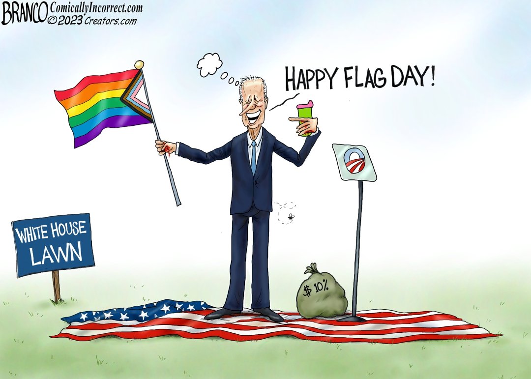 JOe Biden flag day pride flag