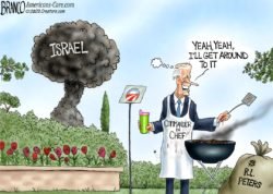 Joe Biden bbq Israel Hamas