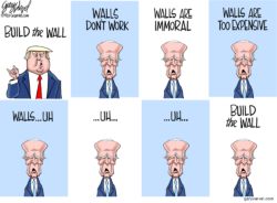 Joe Biden build the border wall