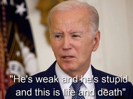 America In The Age Of Stupidity: Joe Biden The Fredo Of Presidents