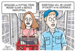 Shoplifting Crime