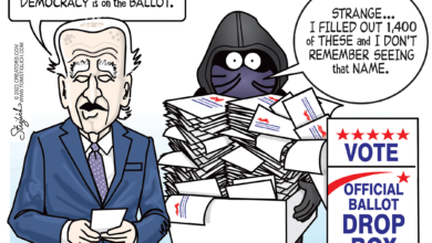 Voter fraud Biden 2024