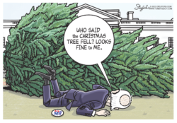 Joe Biden fall tree